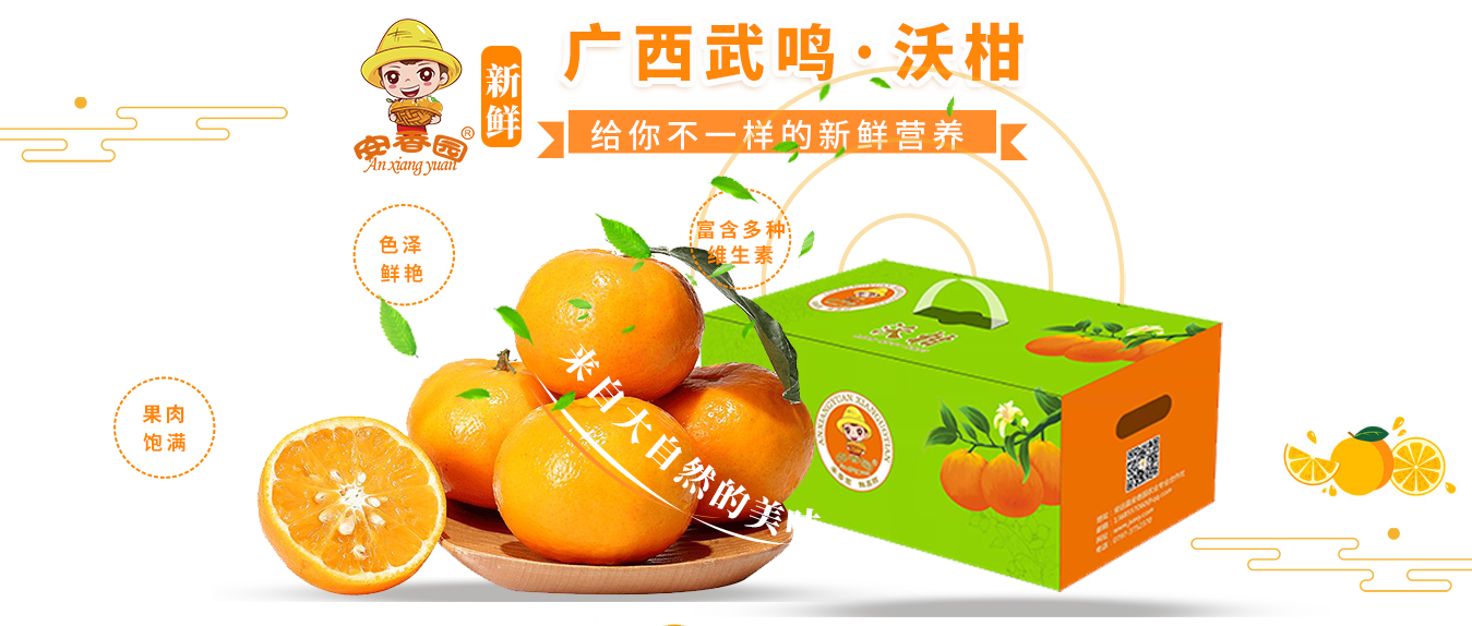 安香園廣西武鳴沃柑：來自大自然的美味呈現